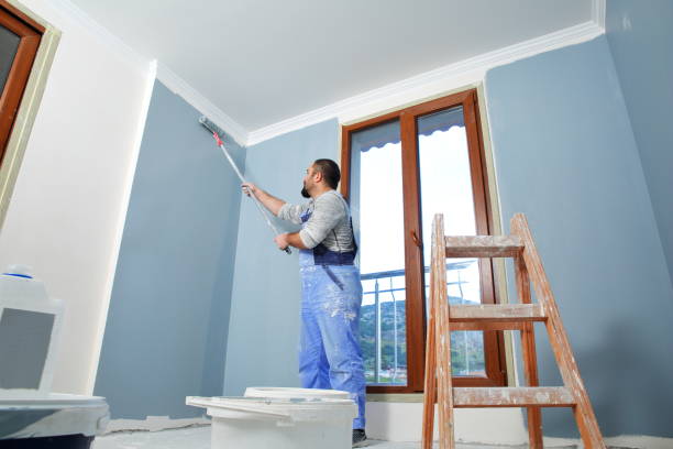 Best Fire-Damaged Drywall Repair  in Kent City, MI